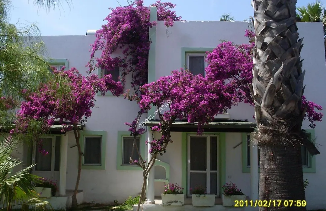 Avta tatil köyü-1